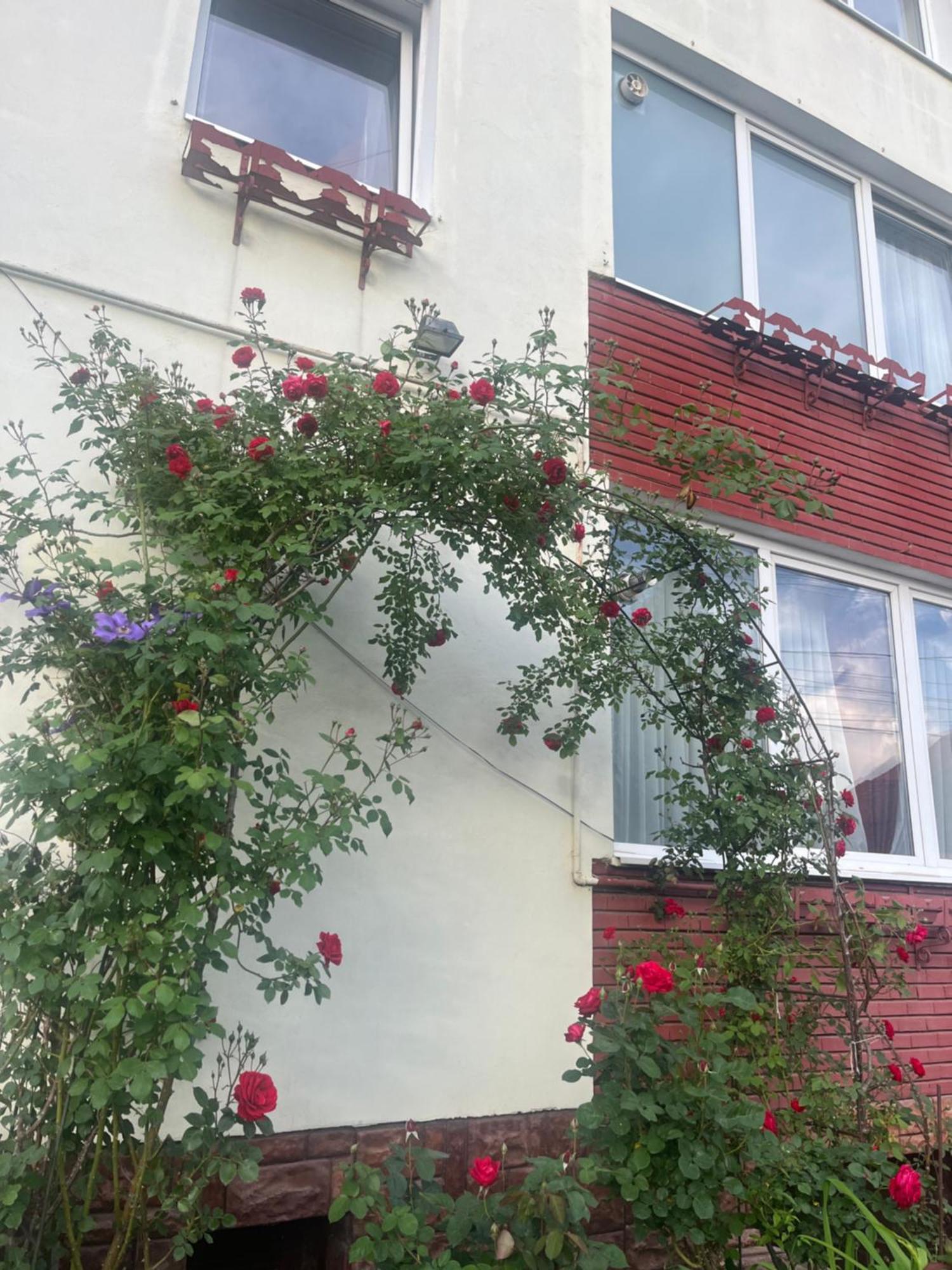 Hotel Casa Conti Sybin Zewnętrze zdjęcie